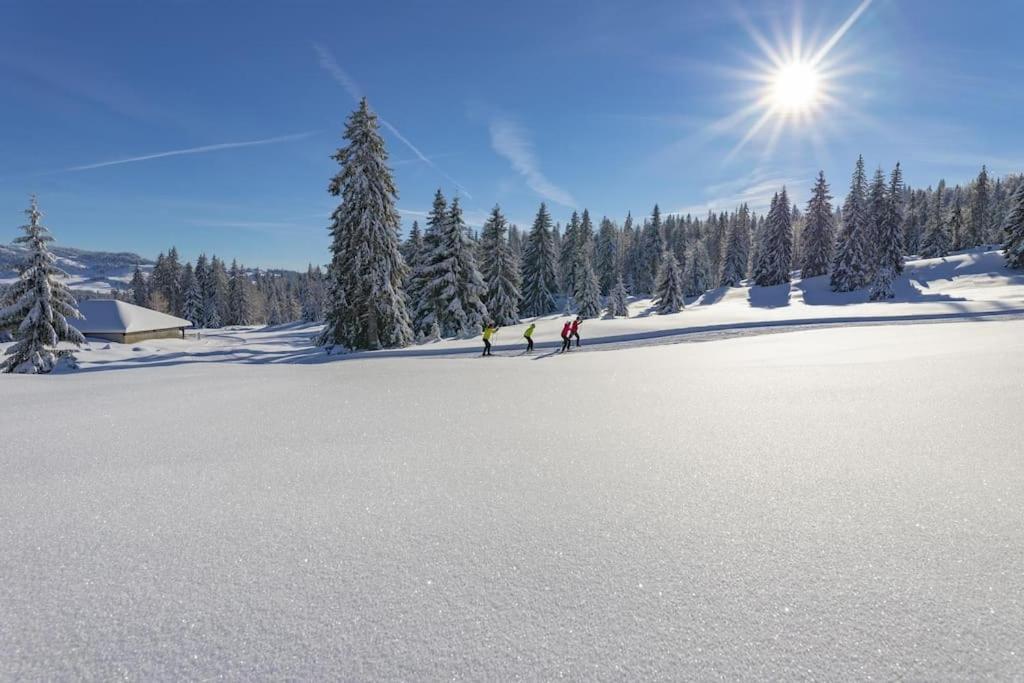 Idealement Situe * Morez
